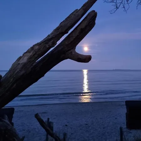 Apartamento Odins Halle - Odins Blick 8 - Direkt Am Privatstrand, Sauna, Garten Lobbe