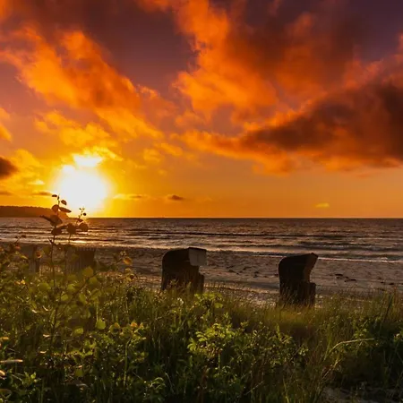 Odins Halle - Odins Blick 8 - Direkt Am Privatstrand, Sauna, Garten *